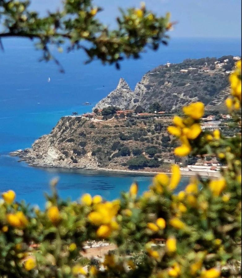 Il Giardino Di Capo Vaticano B&B And Apartments Exterior photo